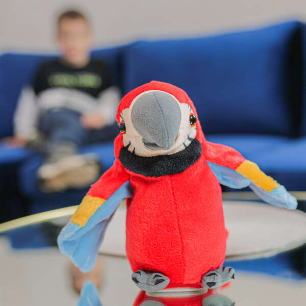 Image_3