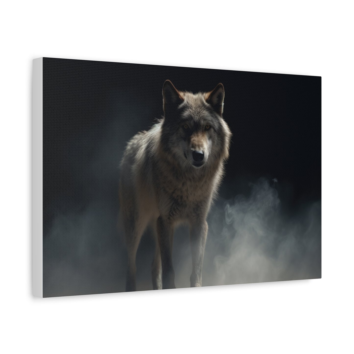 Tichý vlk ve tmě, obklopený mlhou. - Obraz