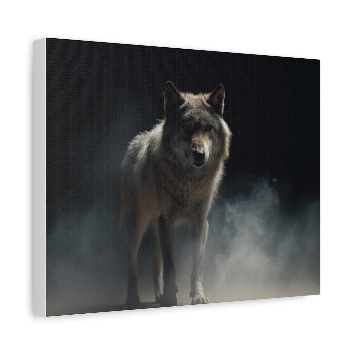 Tichý vlk ve tmě, obklopený mlhou. - Obraz